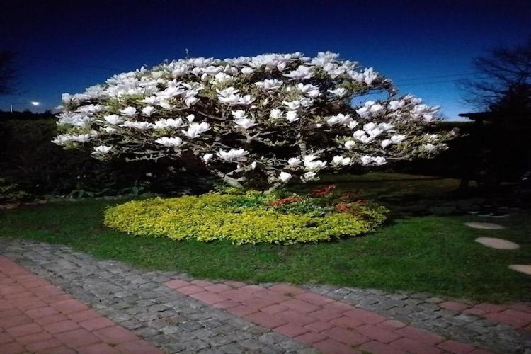 Cozy Apartment 600M From The Sea, Miedzyzdroje Luaran gambar